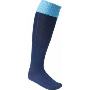 Euro Mens Football Socks / Navy/Sky Blue
